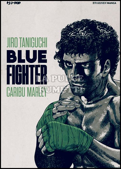 BLUE FIGHTER